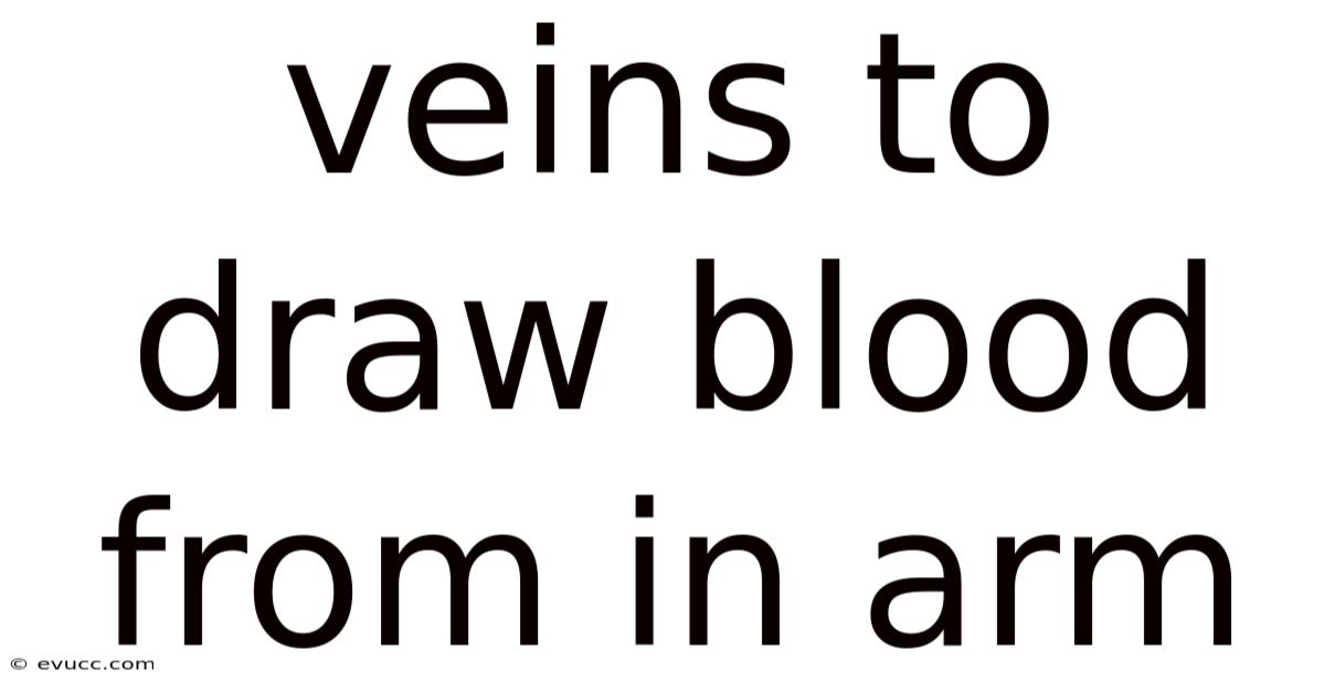 Veins To Draw Blood From In Arm