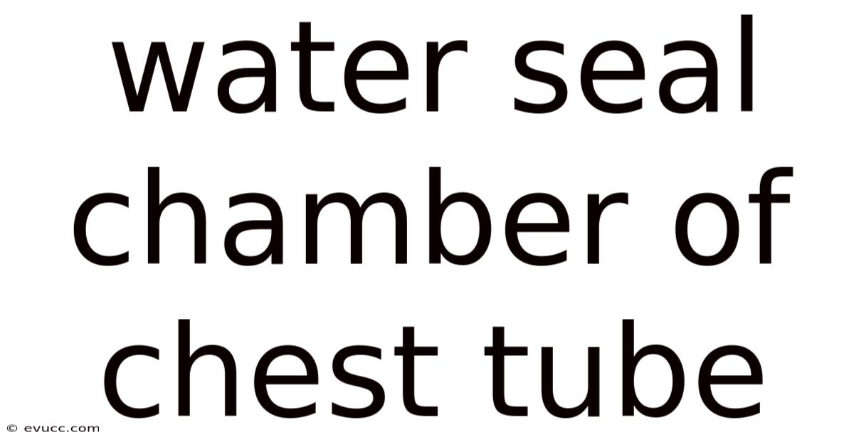 Water Seal Chamber Of Chest Tube