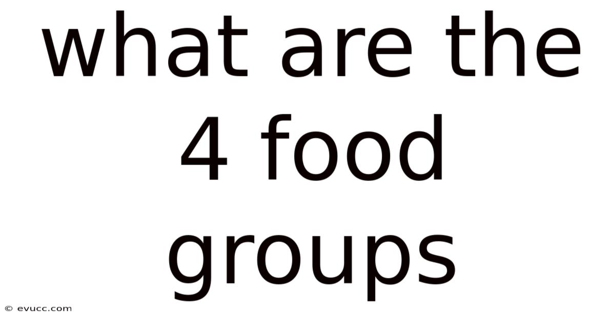 What Are The 4 Food Groups