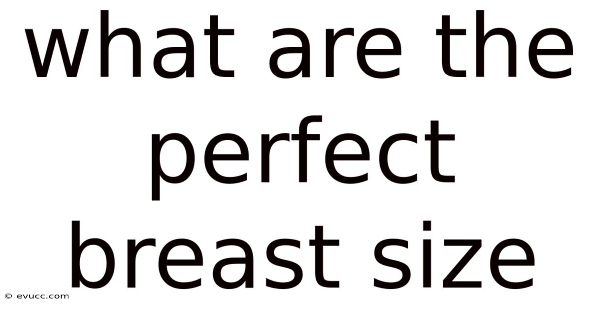 What Are The Perfect Breast Size