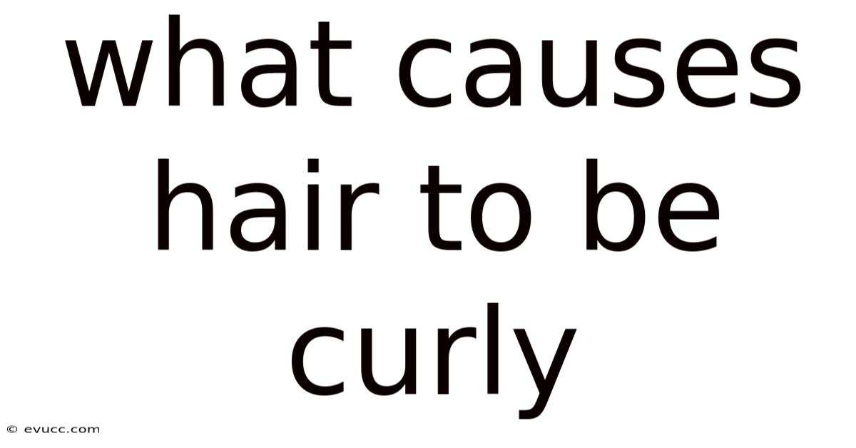 What Causes Hair To Be Curly