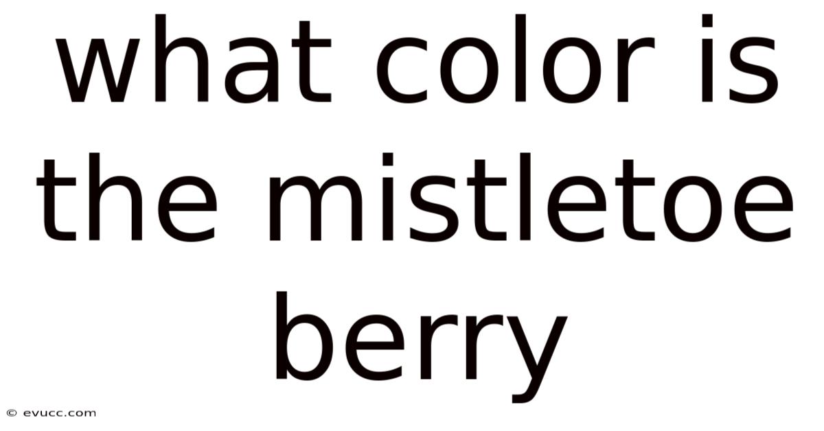 What Color Is The Mistletoe Berry