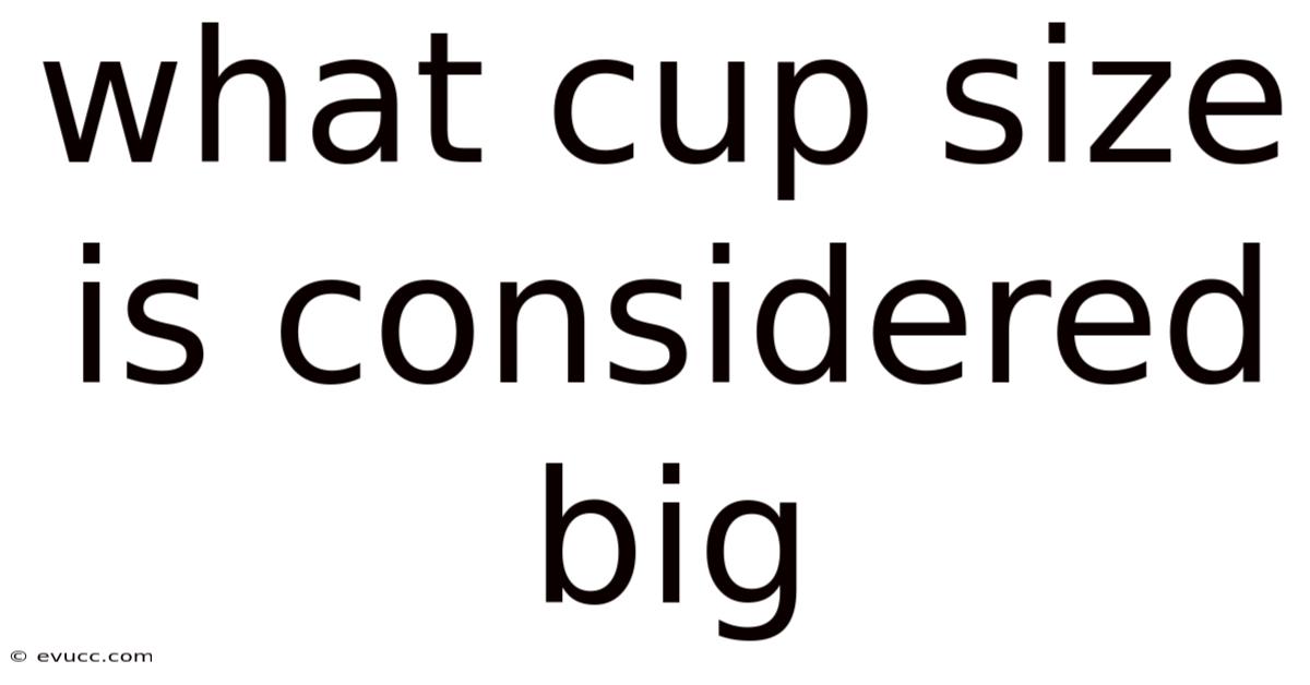 What Cup Size Is Considered Big