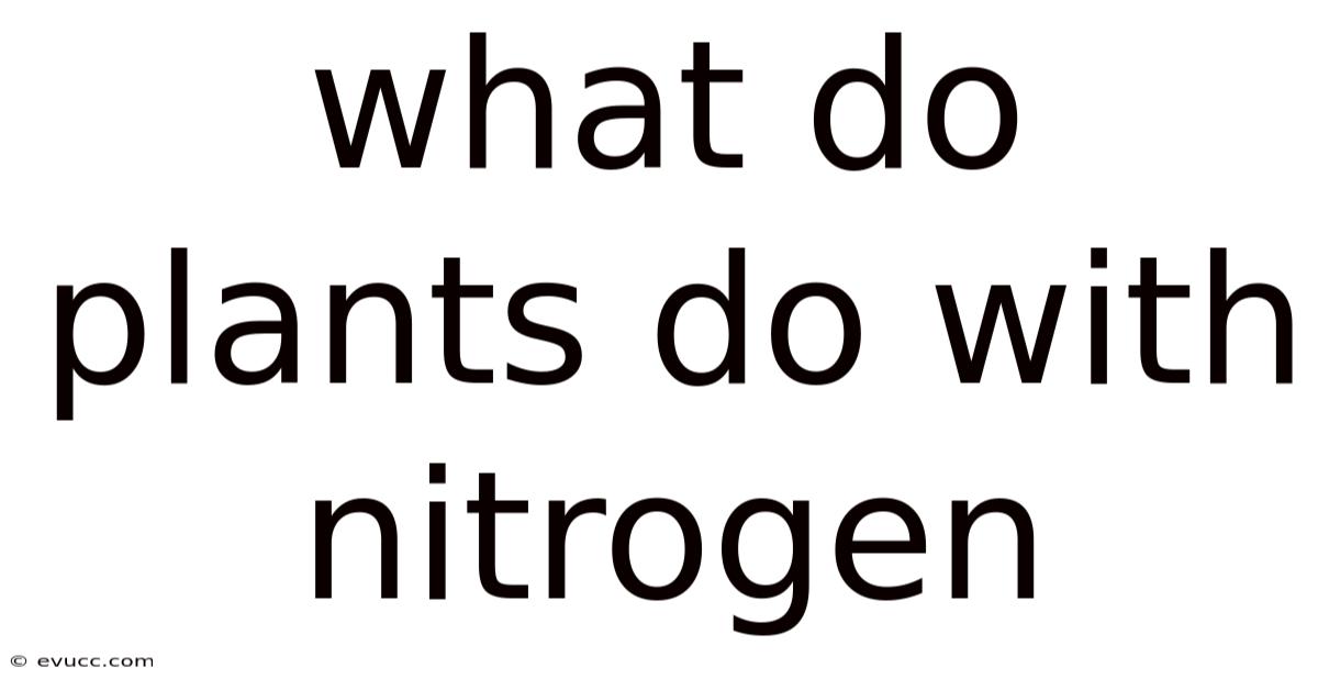 What Do Plants Do With Nitrogen
