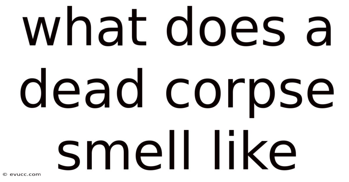 What Does A Dead Corpse Smell Like