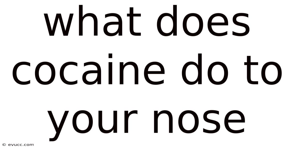 What Does Cocaine Do To Your Nose