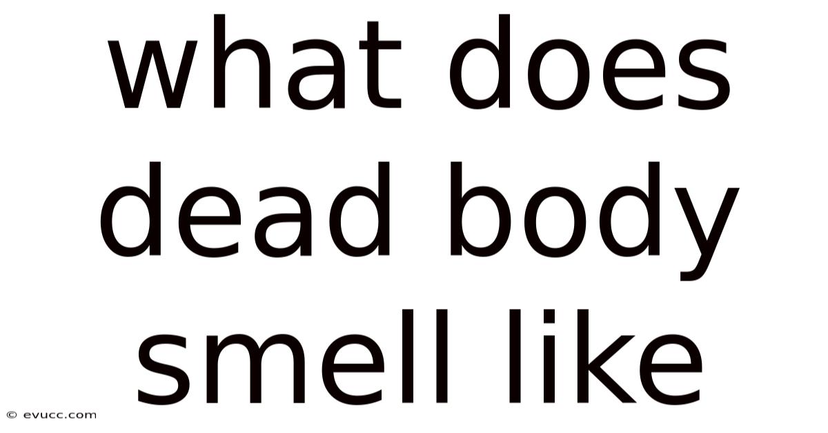 What Does Dead Body Smell Like
