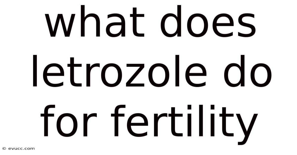 What Does Letrozole Do For Fertility