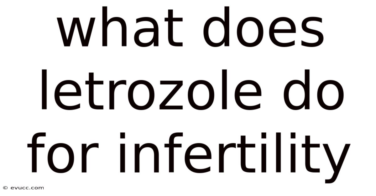 What Does Letrozole Do For Infertility