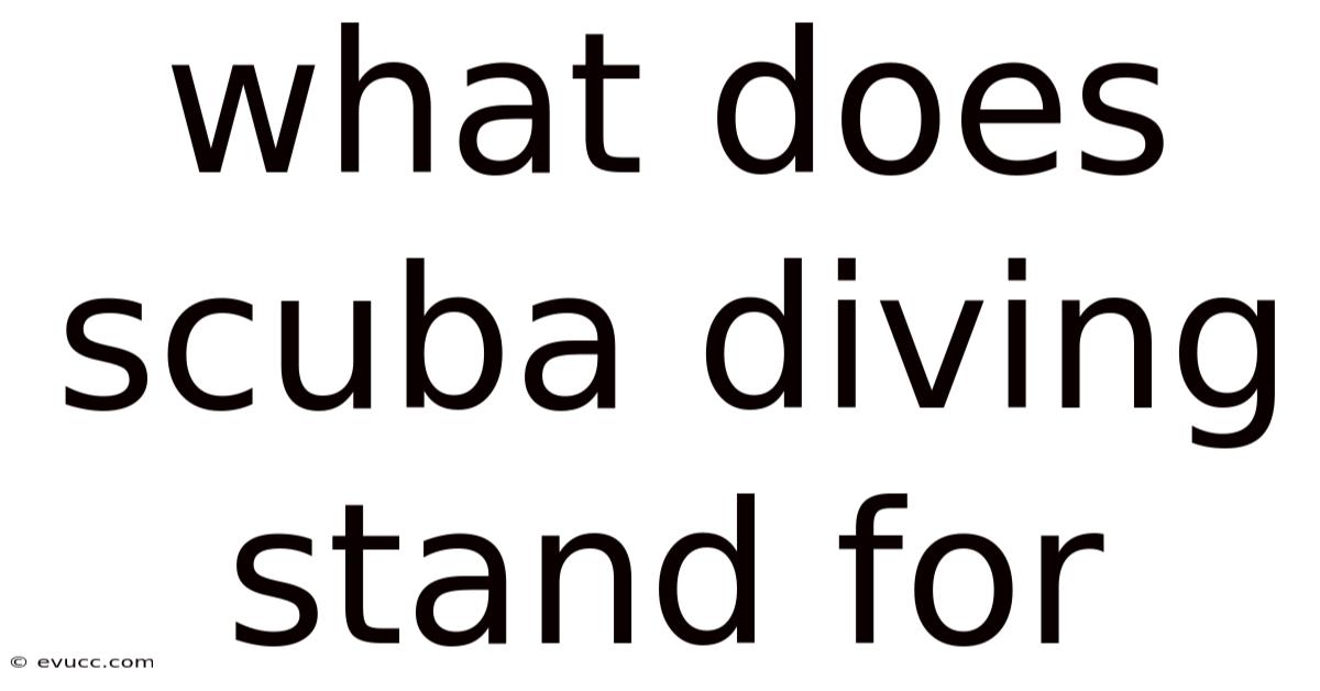 What Does Scuba Diving Stand For