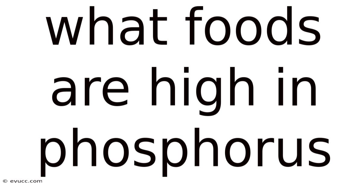 What Foods Are High In Phosphorus