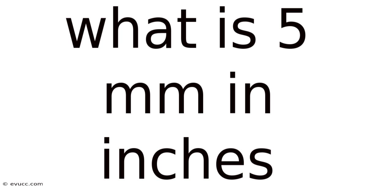 What Is 5 Mm In Inches
