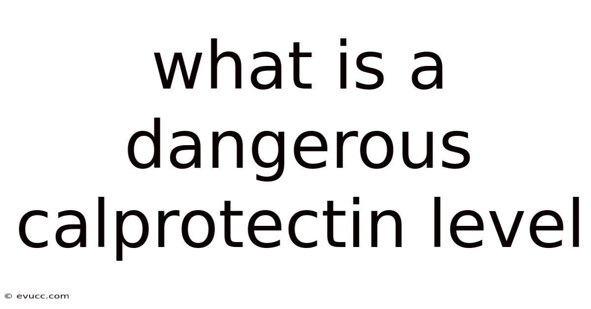 What Is A Dangerous Calprotectin Level