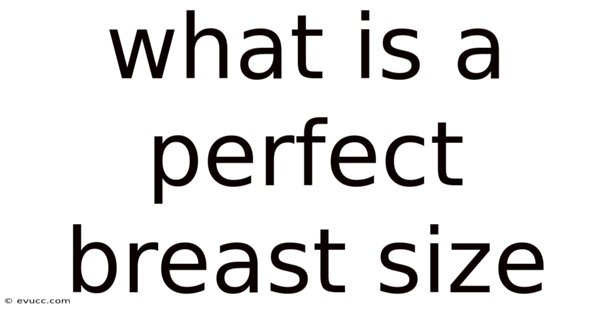 What Is A Perfect Breast Size