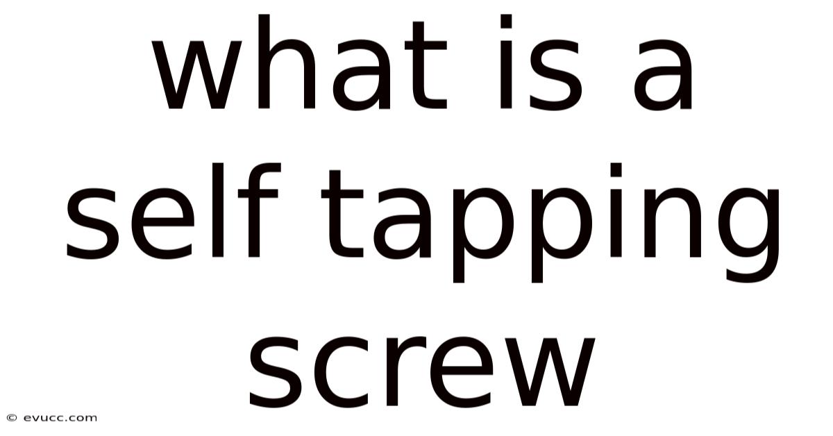 What Is A Self Tapping Screw