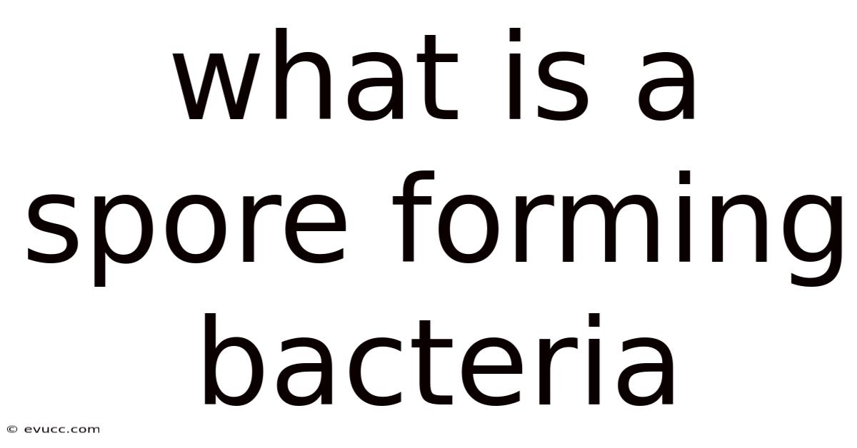 What Is A Spore Forming Bacteria