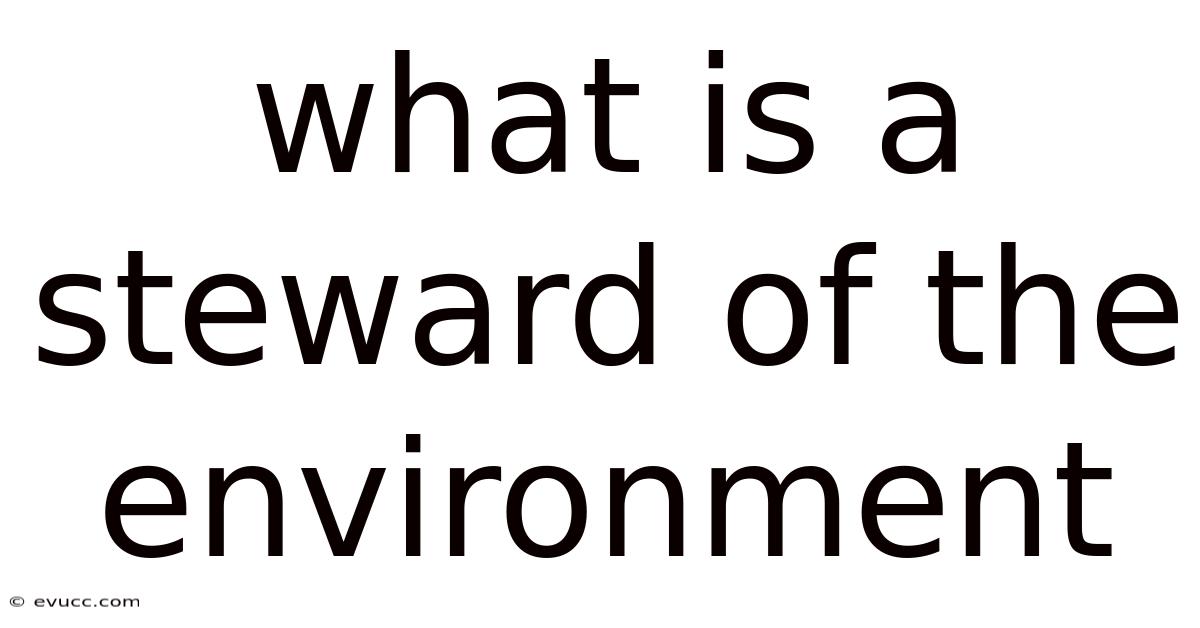 What Is A Steward Of The Environment