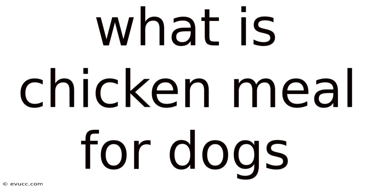 What Is Chicken Meal For Dogs
