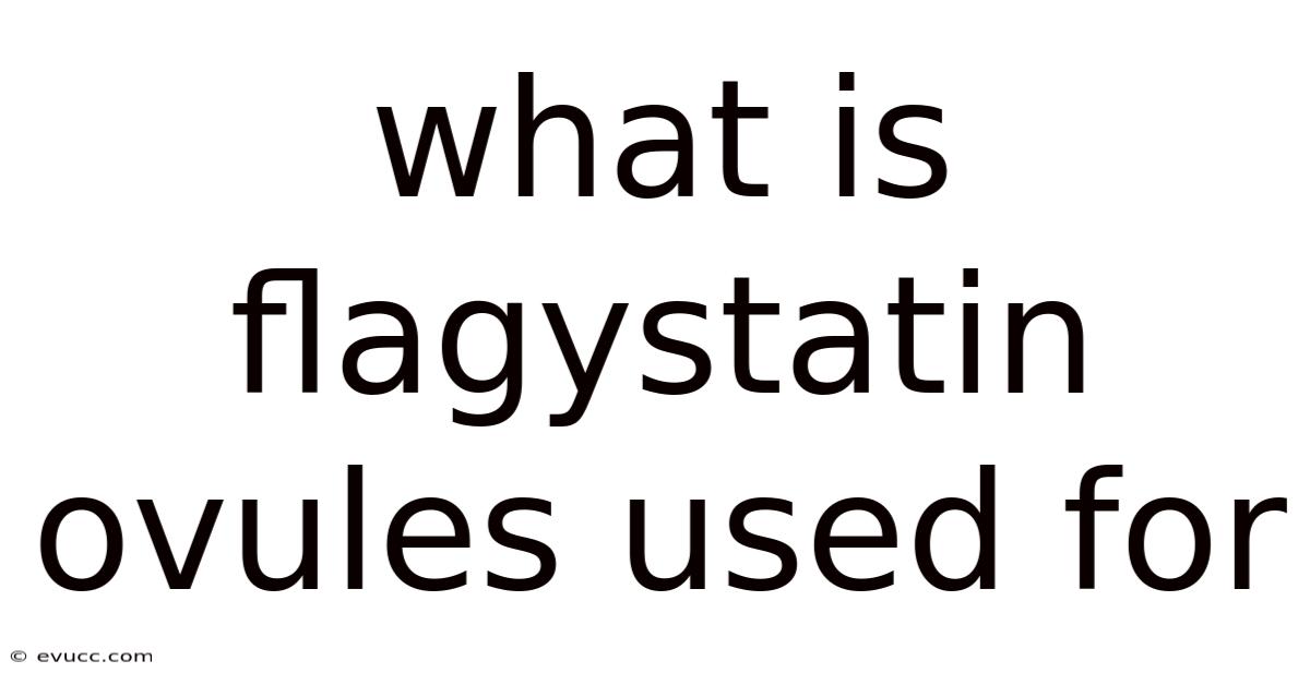 What Is Flagystatin Ovules Used For
