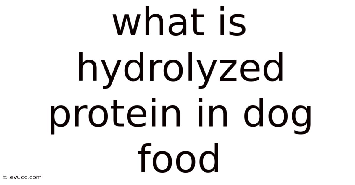 What Is Hydrolyzed Protein In Dog Food