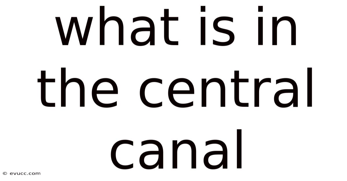 What Is In The Central Canal
