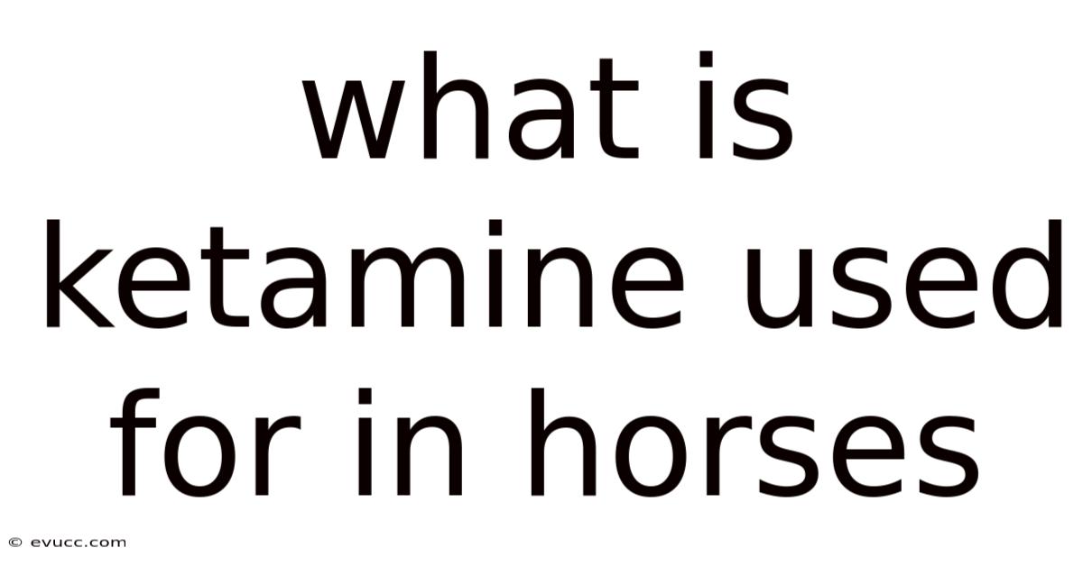 What Is Ketamine Used For In Horses