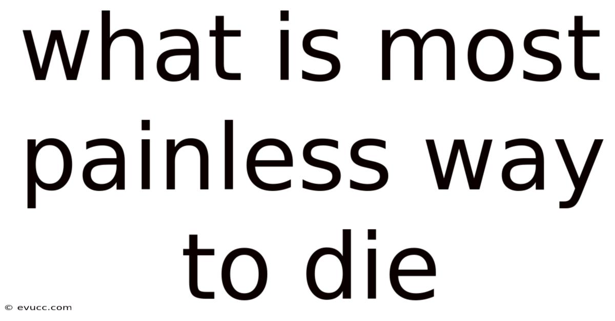 What Is Most Painless Way To Die