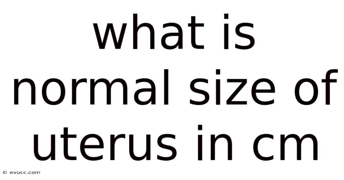 What Is Normal Size Of Uterus In Cm