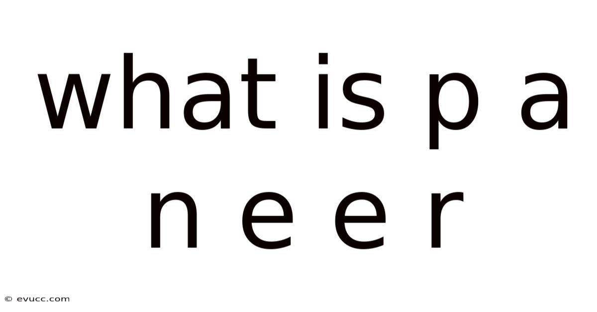 What Is P A N E E R