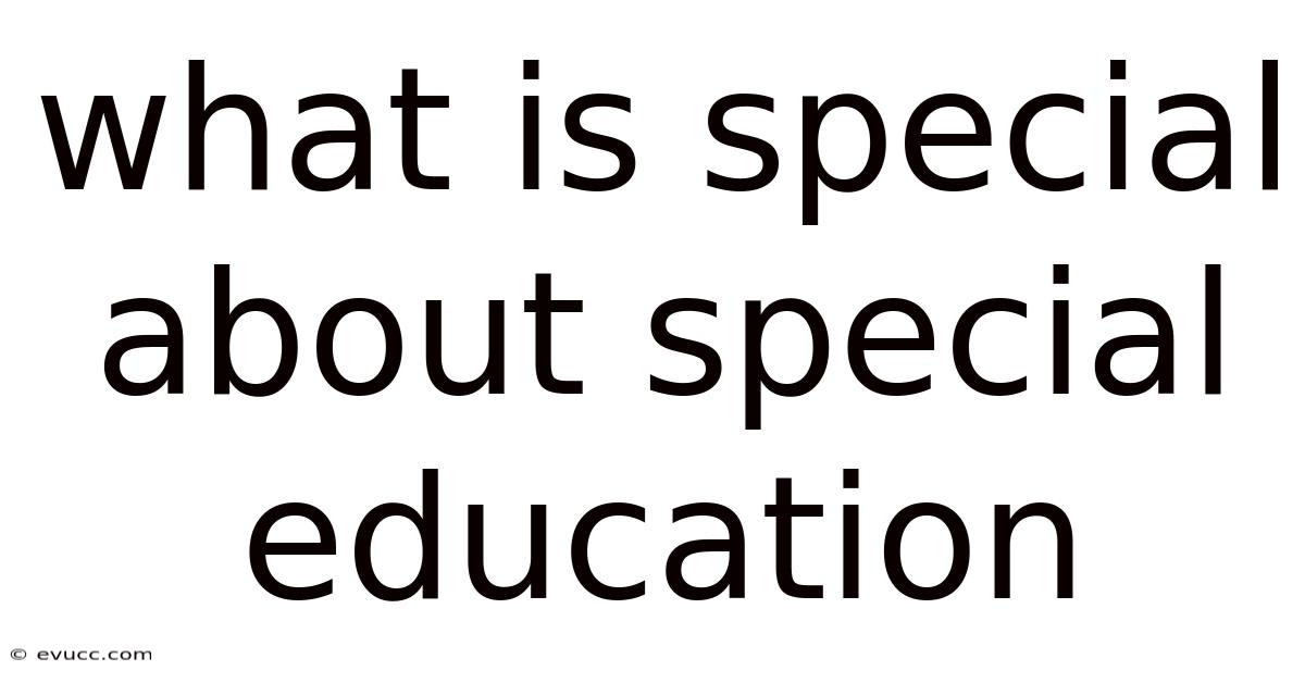 What Is Special About Special Education