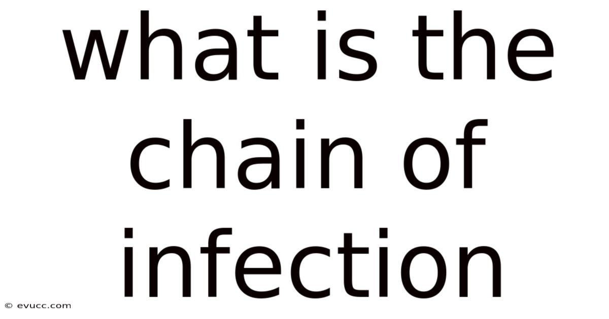 What Is The Chain Of Infection