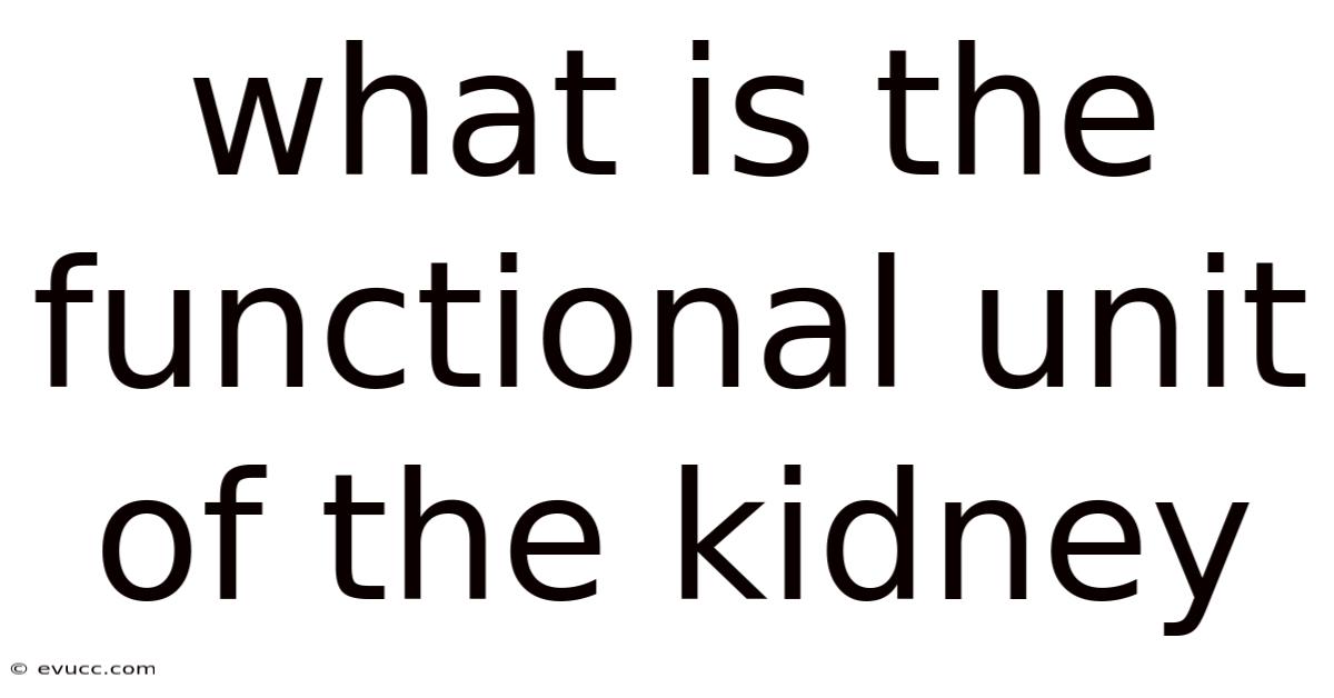 What Is The Functional Unit Of The Kidney