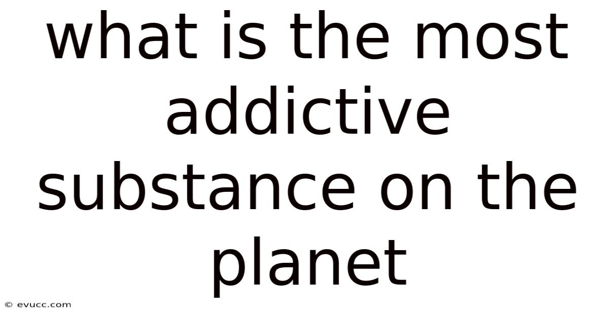 What Is The Most Addictive Substance On The Planet