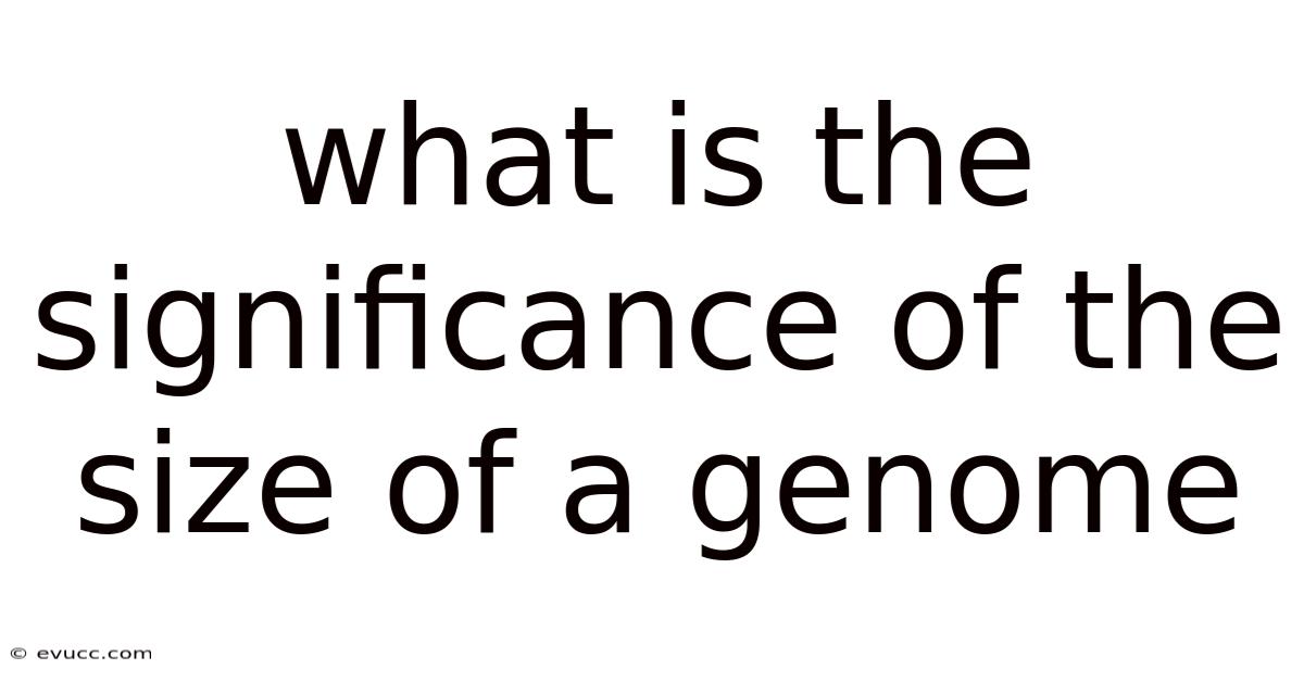 What Is The Significance Of The Size Of A Genome
