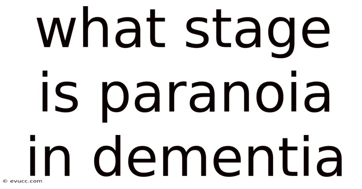 What Stage Is Paranoia In Dementia