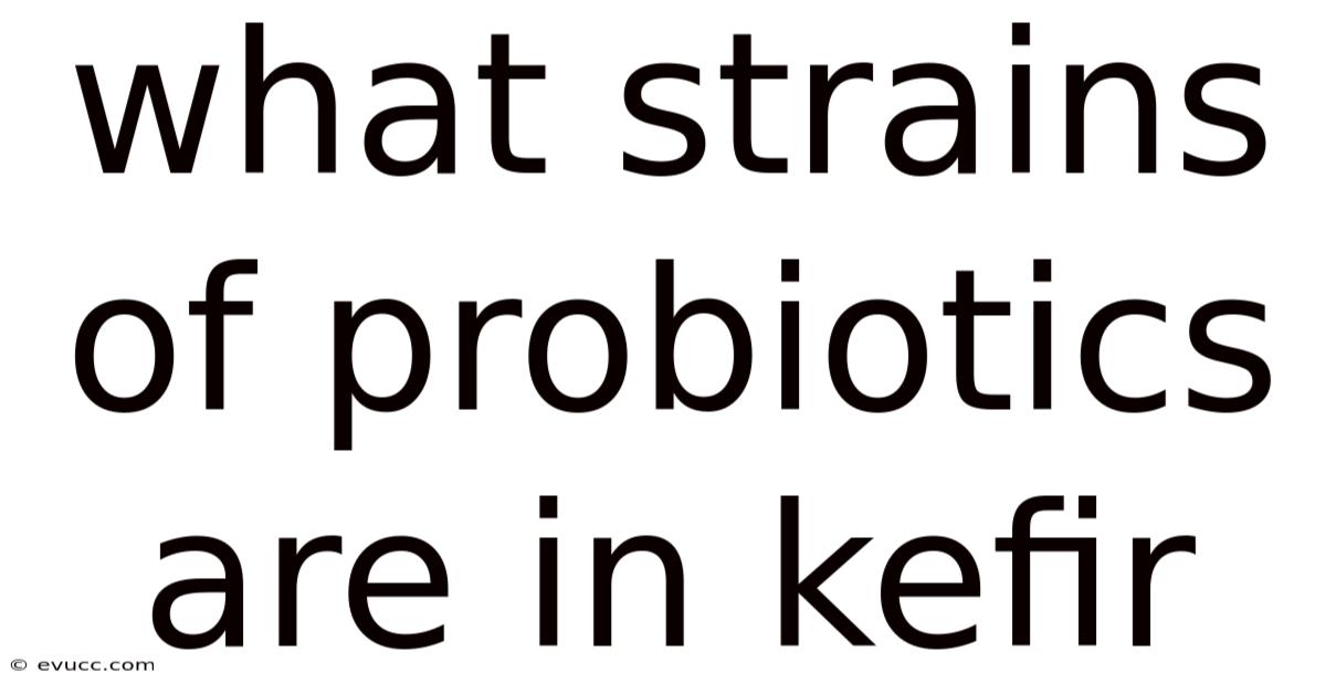 What Strains Of Probiotics Are In Kefir