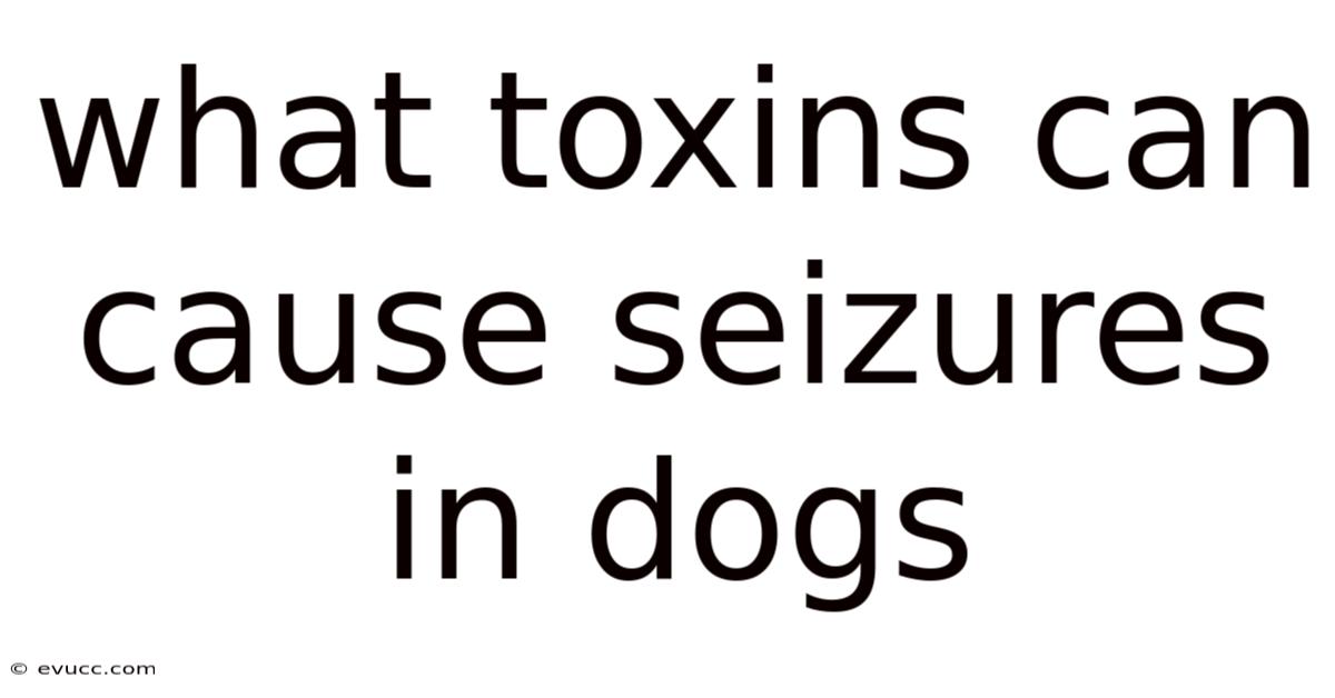 What Toxins Can Cause Seizures In Dogs