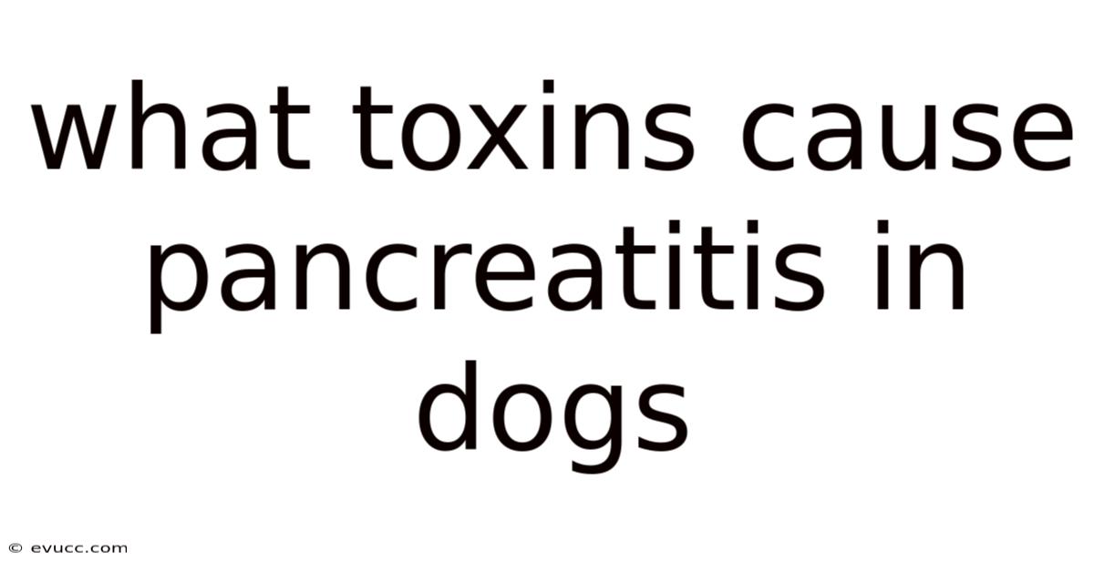 What Toxins Cause Pancreatitis In Dogs
