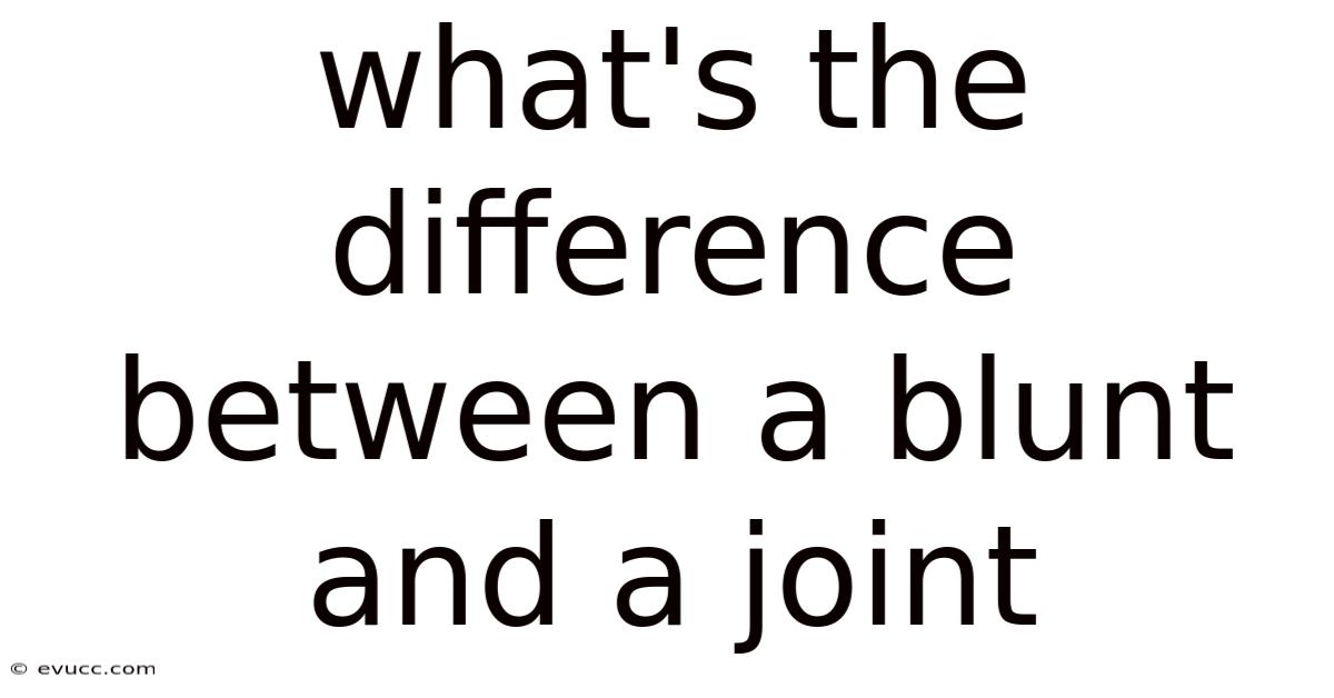 What's The Difference Between A Blunt And A Joint