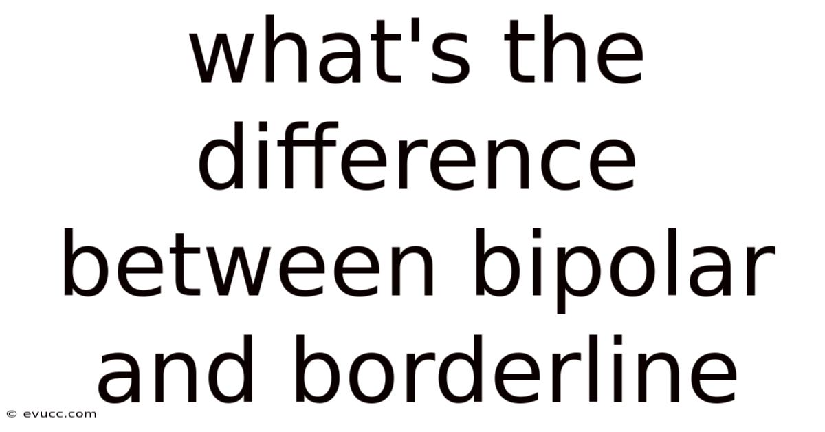 What's The Difference Between Bipolar And Borderline