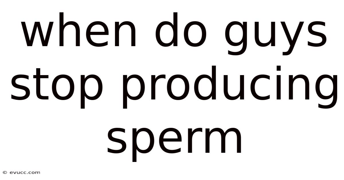 When Do Guys Stop Producing Sperm