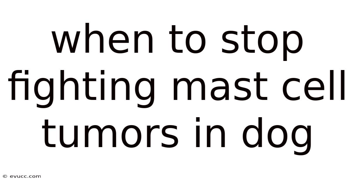 When To Stop Fighting Mast Cell Tumors In Dog