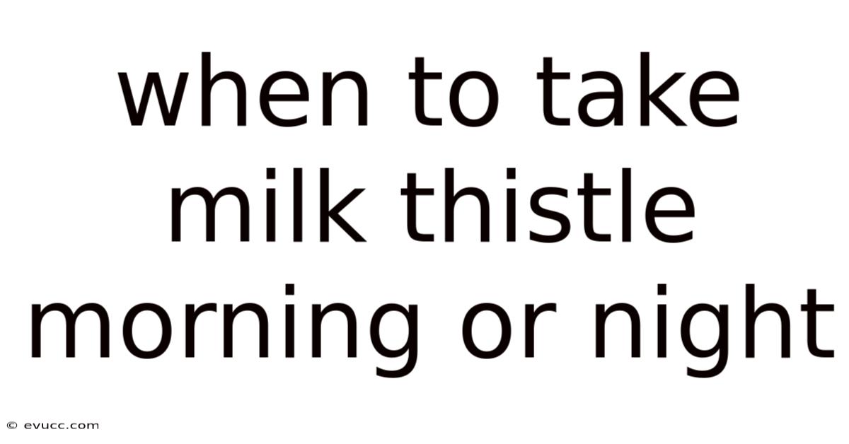 When To Take Milk Thistle Morning Or Night