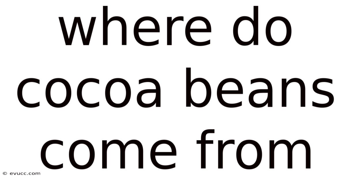Where Do Cocoa Beans Come From