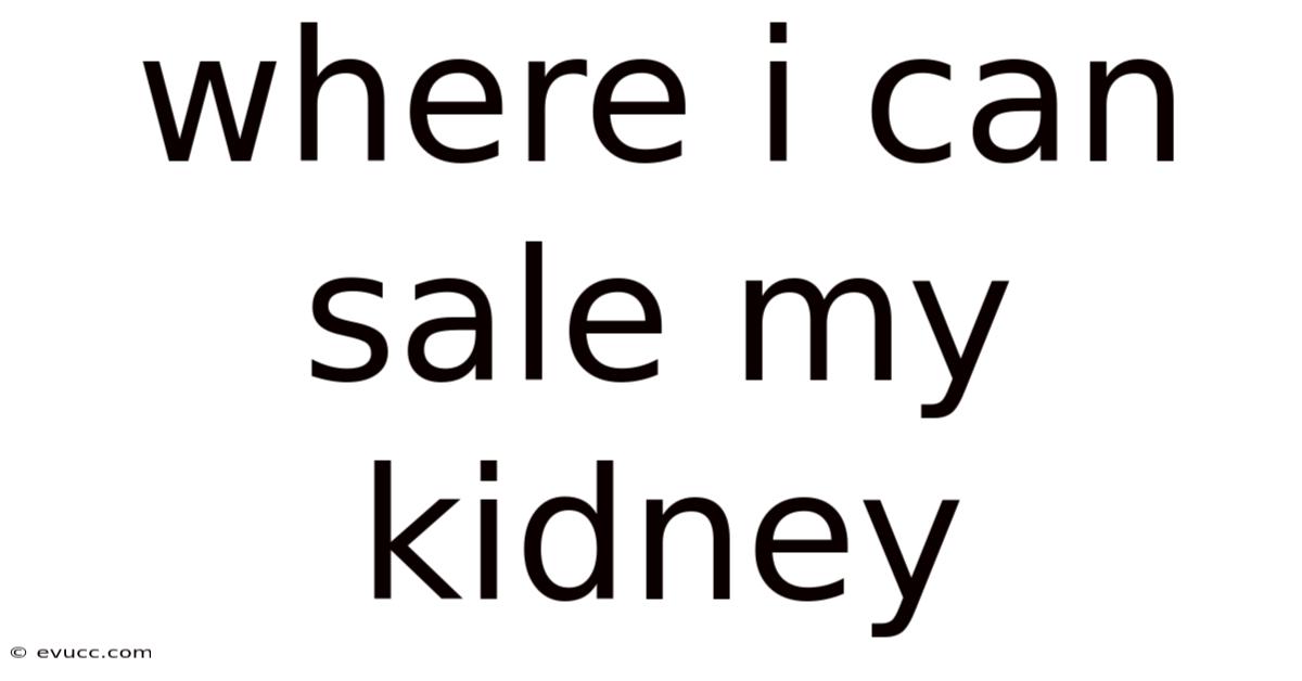 Where I Can Sale My Kidney