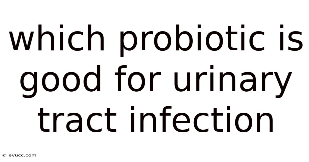 Which Probiotic Is Good For Urinary Tract Infection