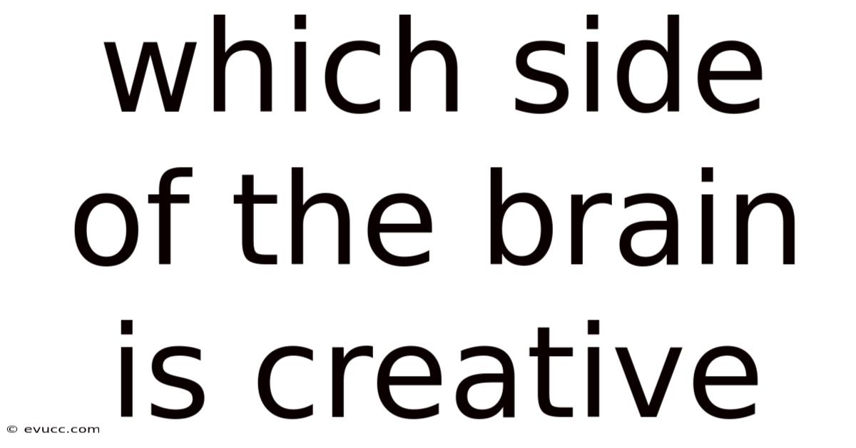 Which Side Of The Brain Is Creative