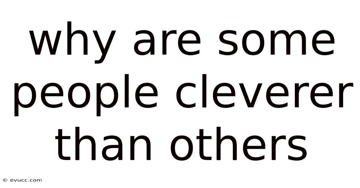 Why Are Some People Cleverer Than Others