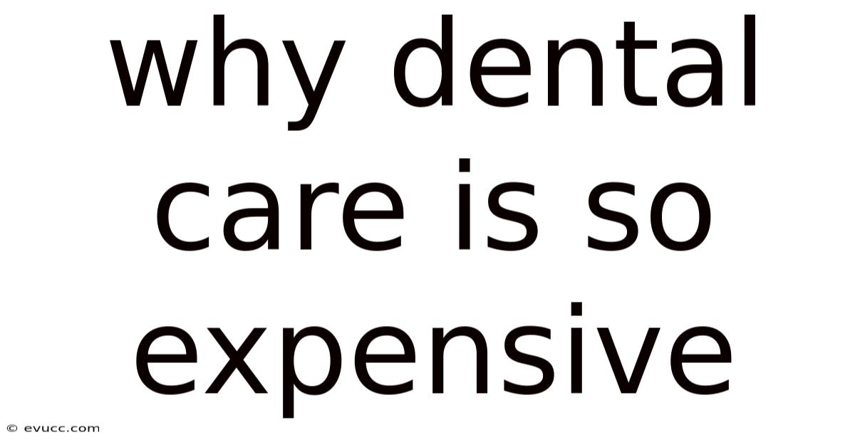 Why Dental Care Is So Expensive