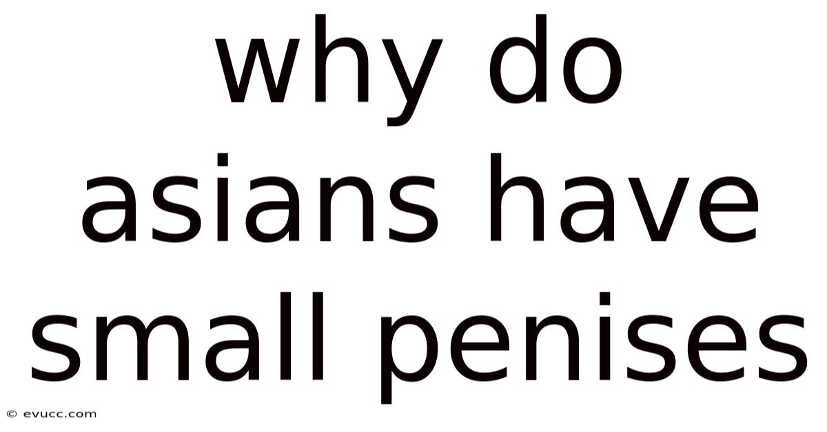 Why Do Asians Have Small Penises